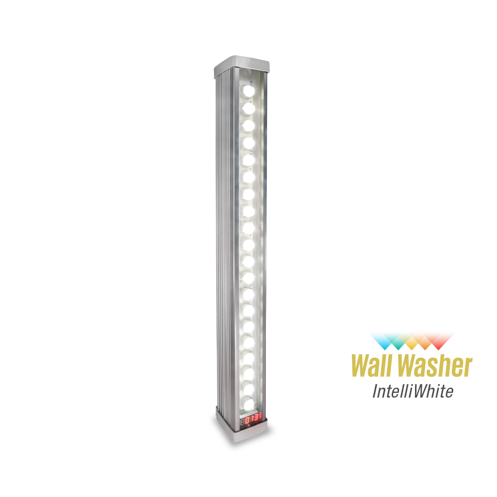 WallWasher IntelliWhite